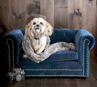 The latest in pet furniture: pieces that fit a home’s decor